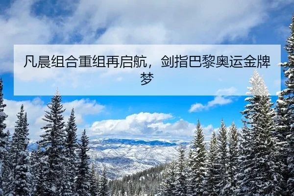 凡晨组合重组再启航，剑指巴黎奥运金牌梦